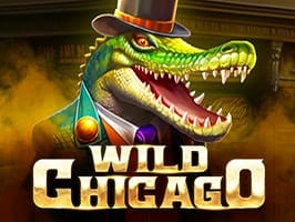 Wild Chicago icon